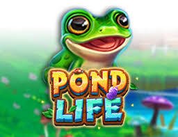 Pond Lite